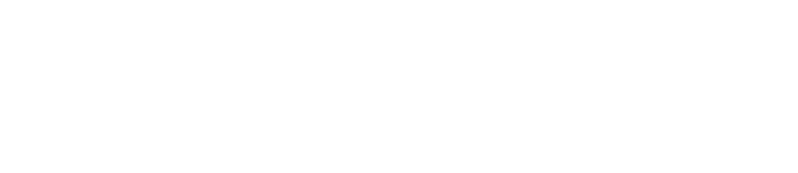 EL-TAMER Gesellschaft für GCC Strategieberatung mbH